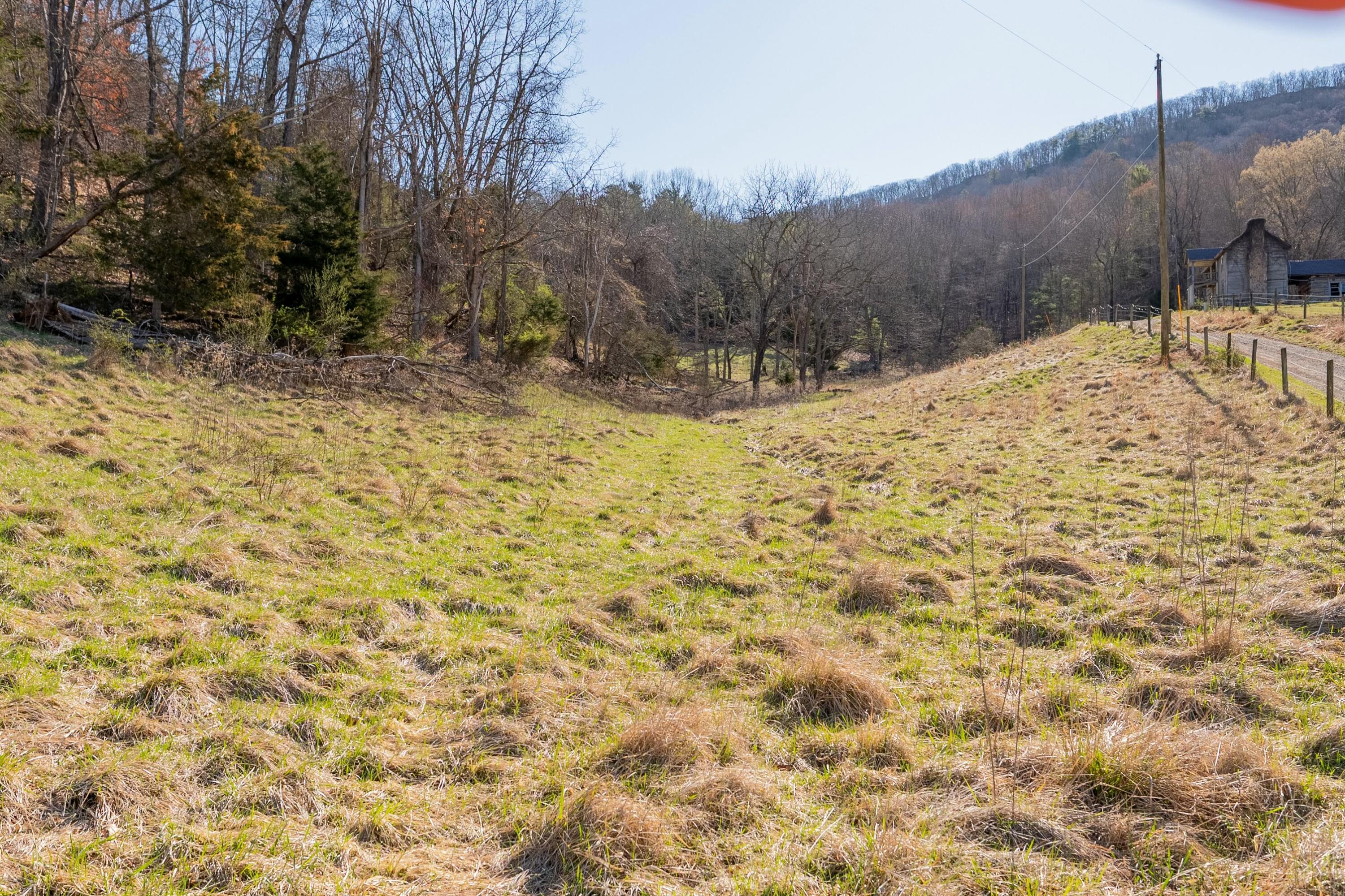 1551 Springdale Rd, Pearisburg, Virginia image 31