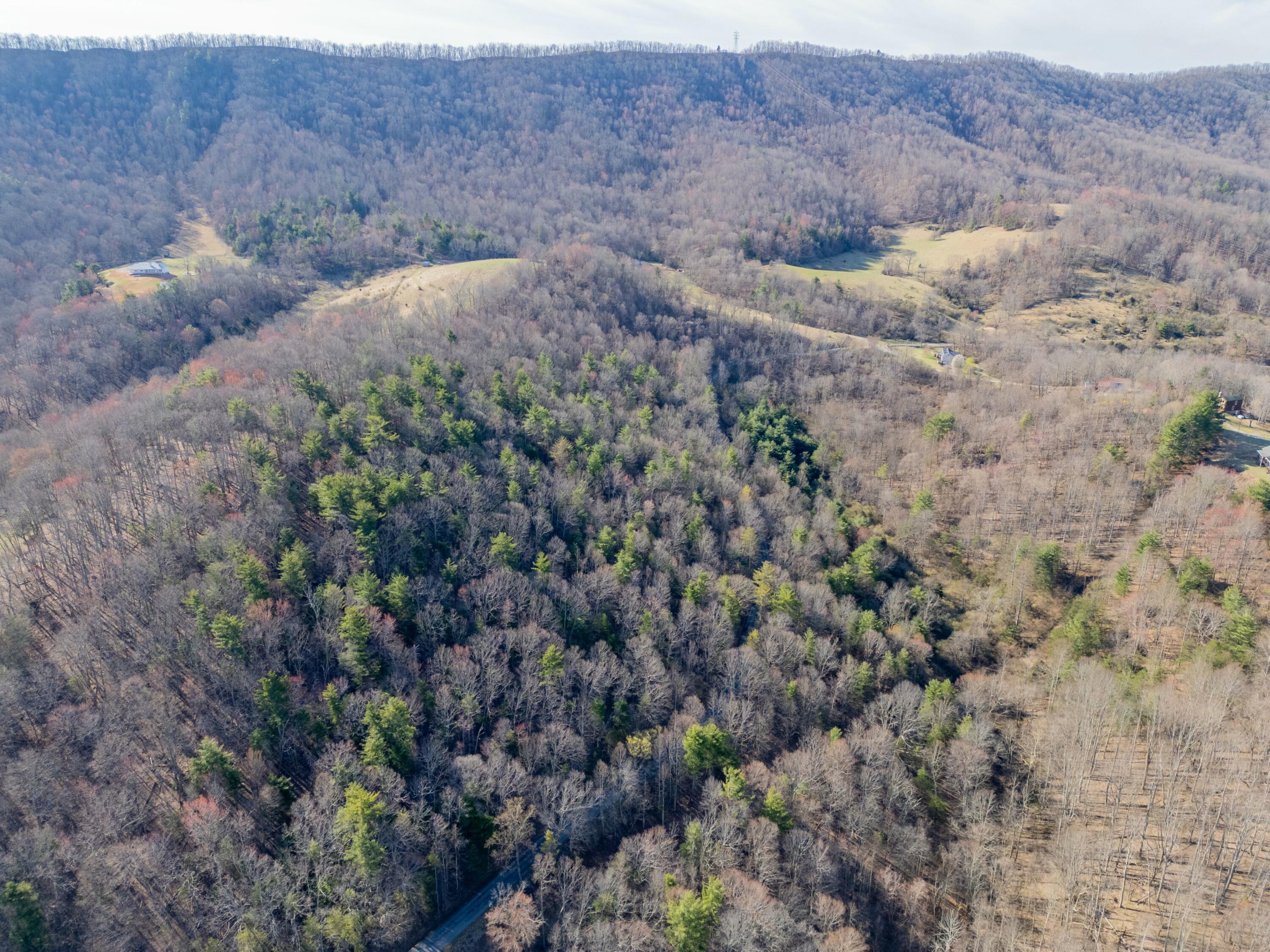 1551 Springdale Rd, Pearisburg, Virginia image 46