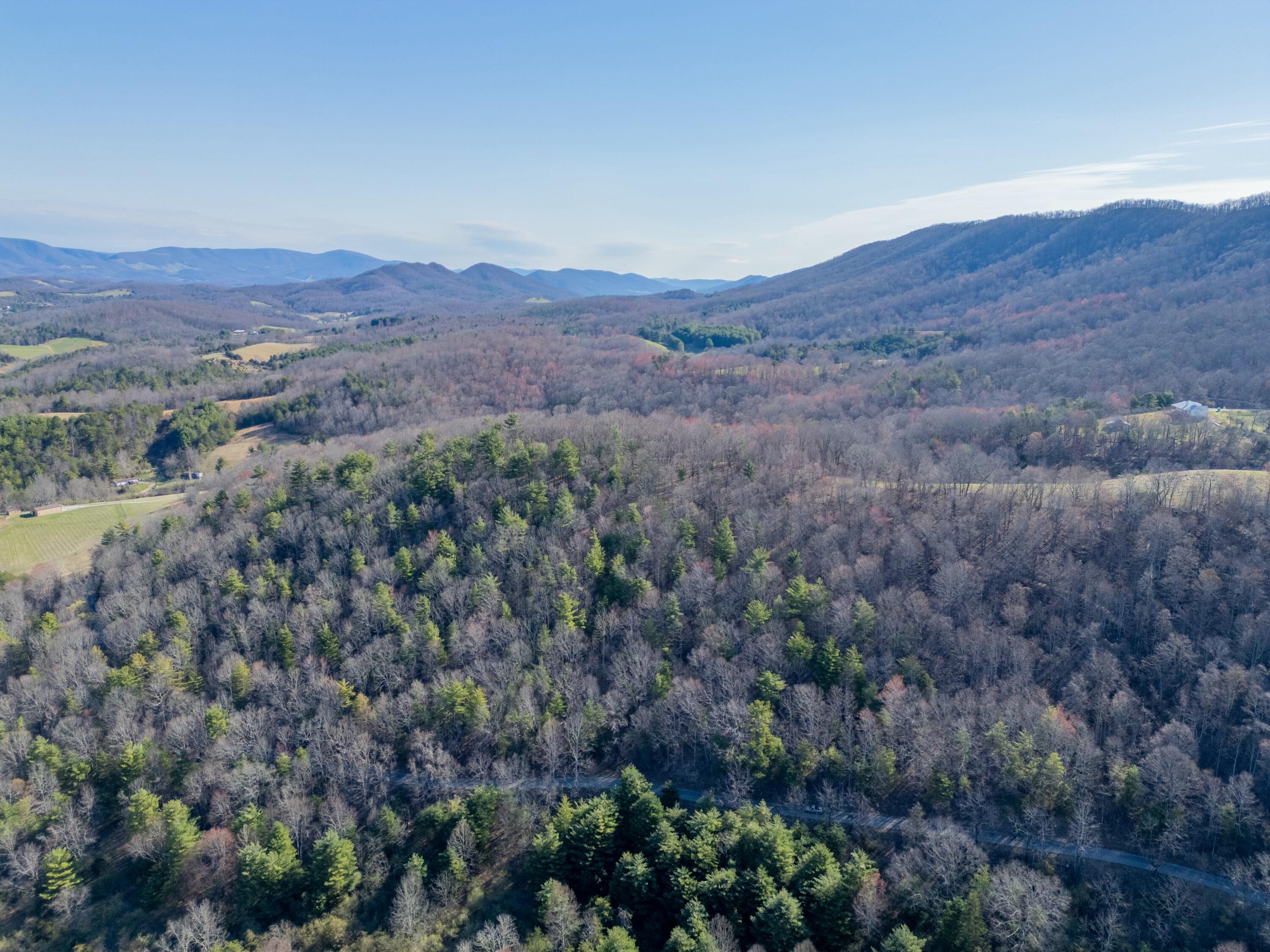 1551 Springdale Rd, Pearisburg, Virginia image 48