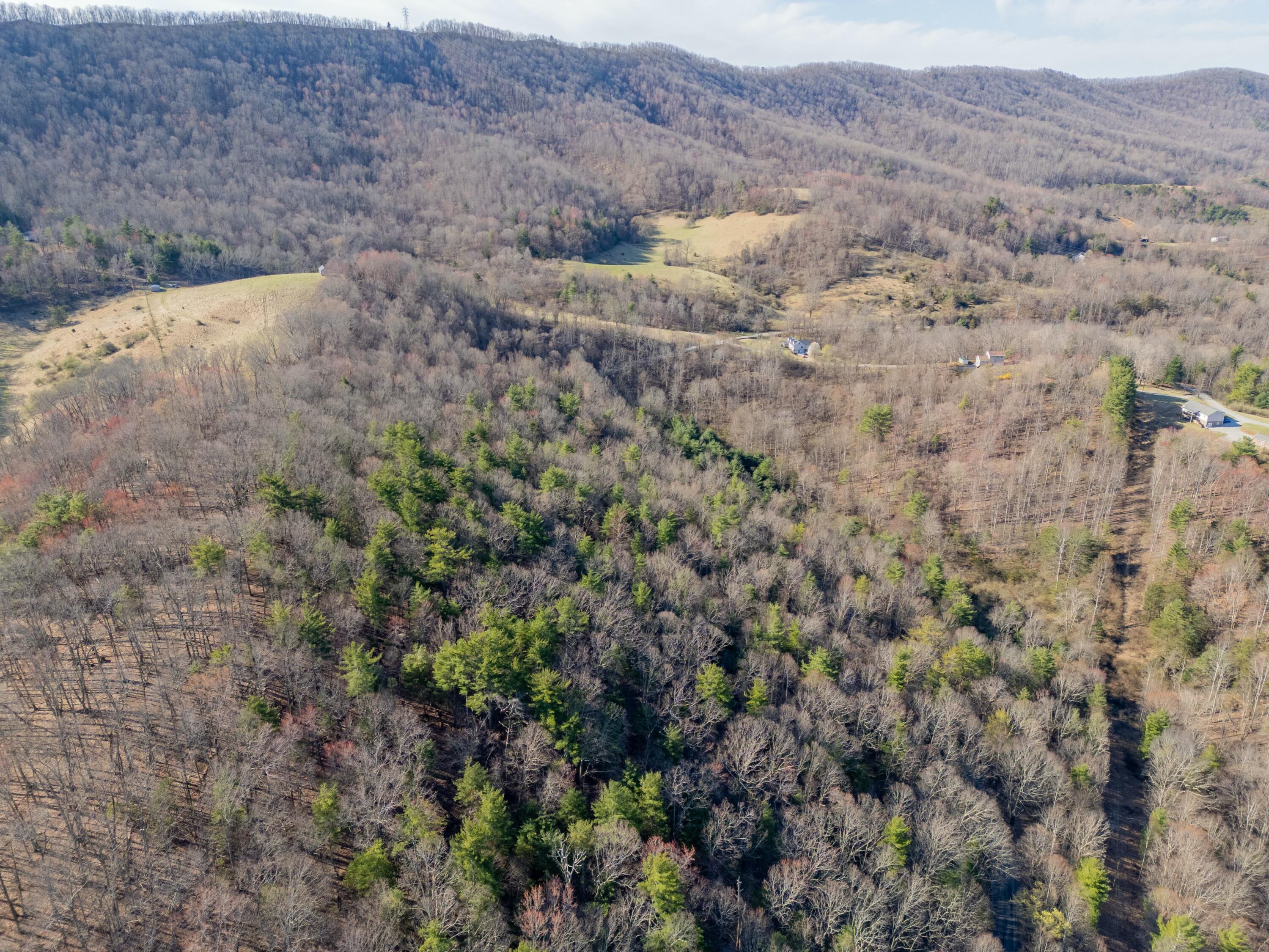 1551 Springdale Rd, Pearisburg, Virginia image 43