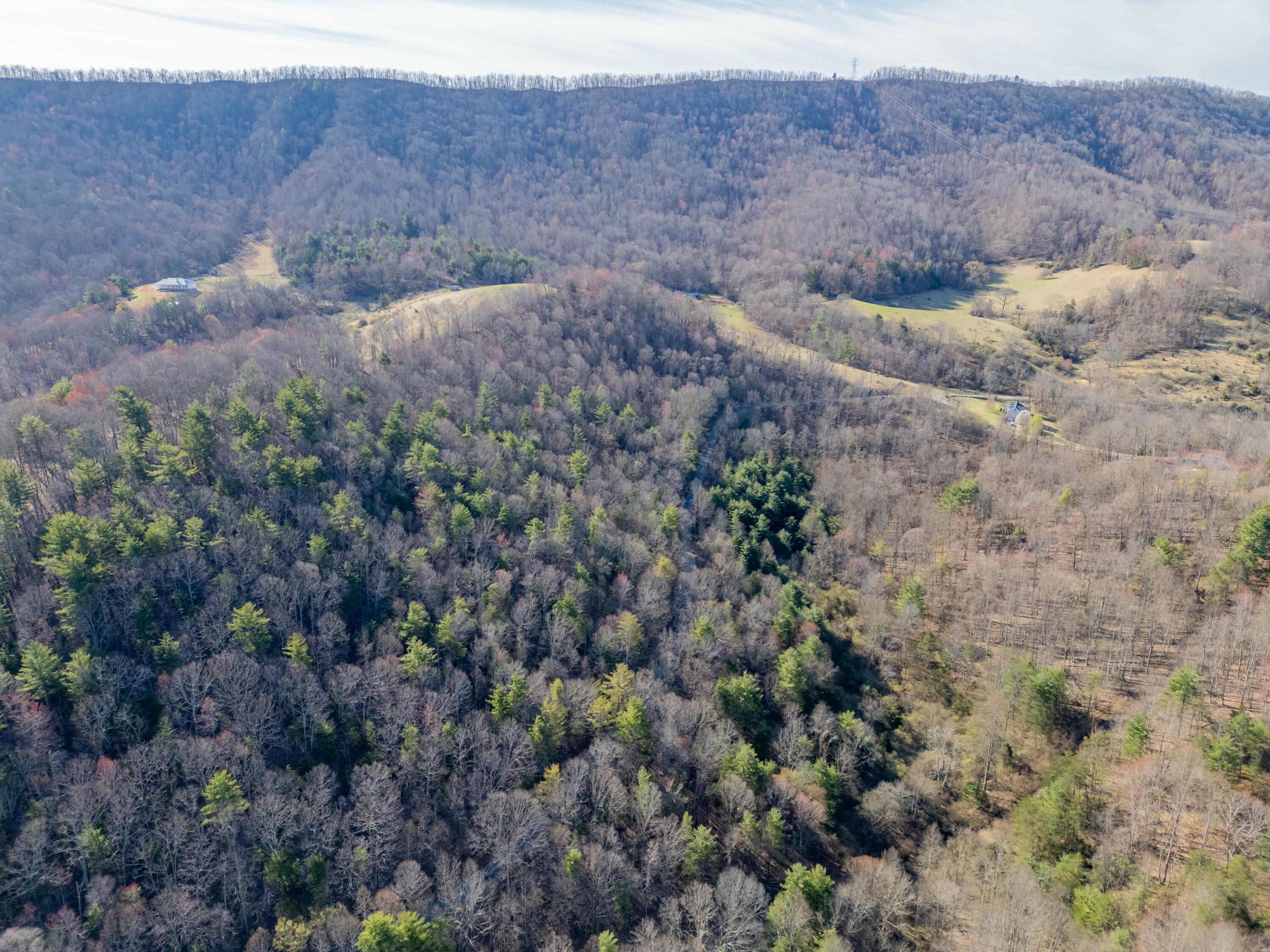 1551 Springdale Rd, Pearisburg, Virginia image 47