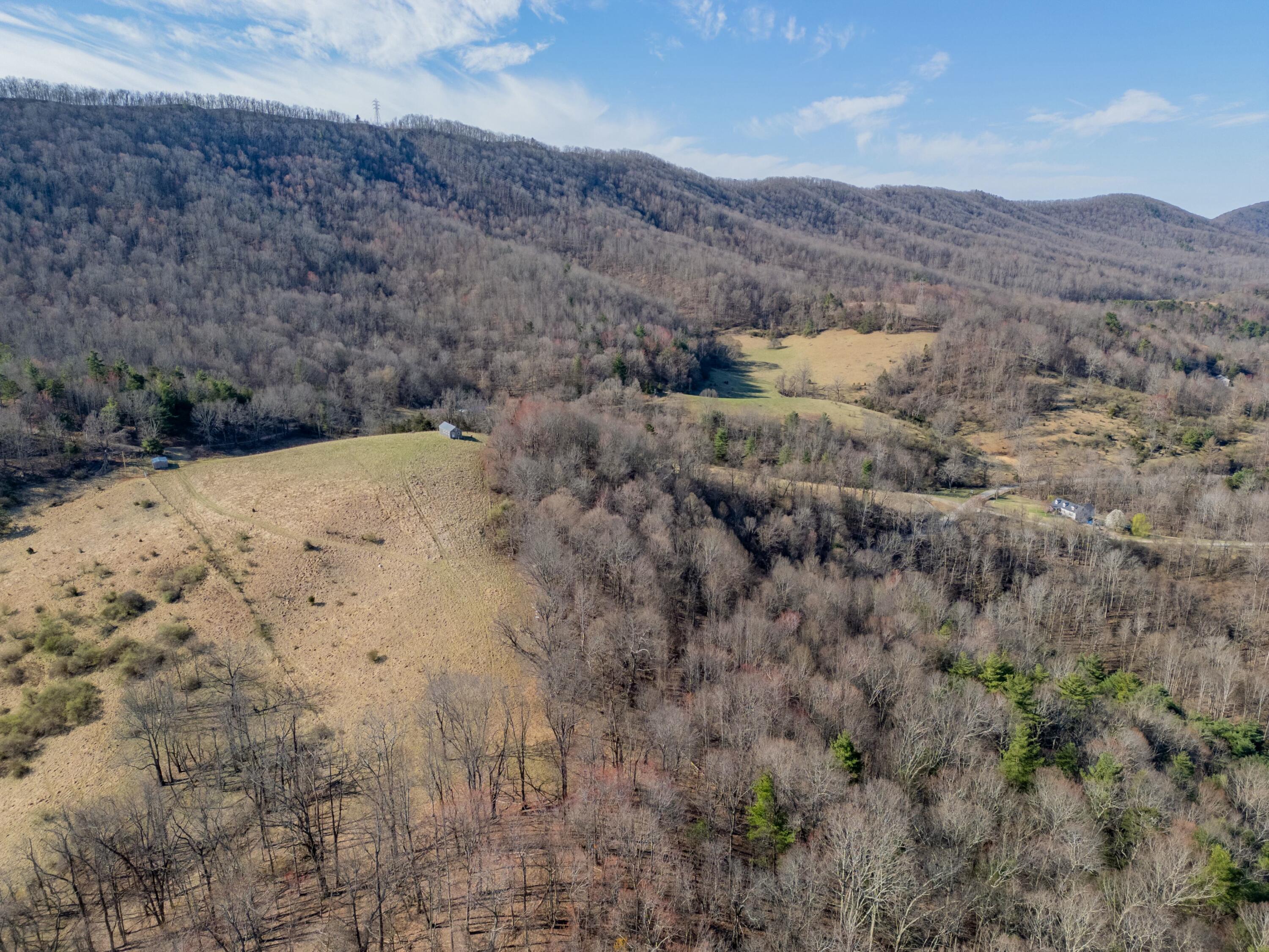 1551 Springdale Rd, Pearisburg, Virginia image 41