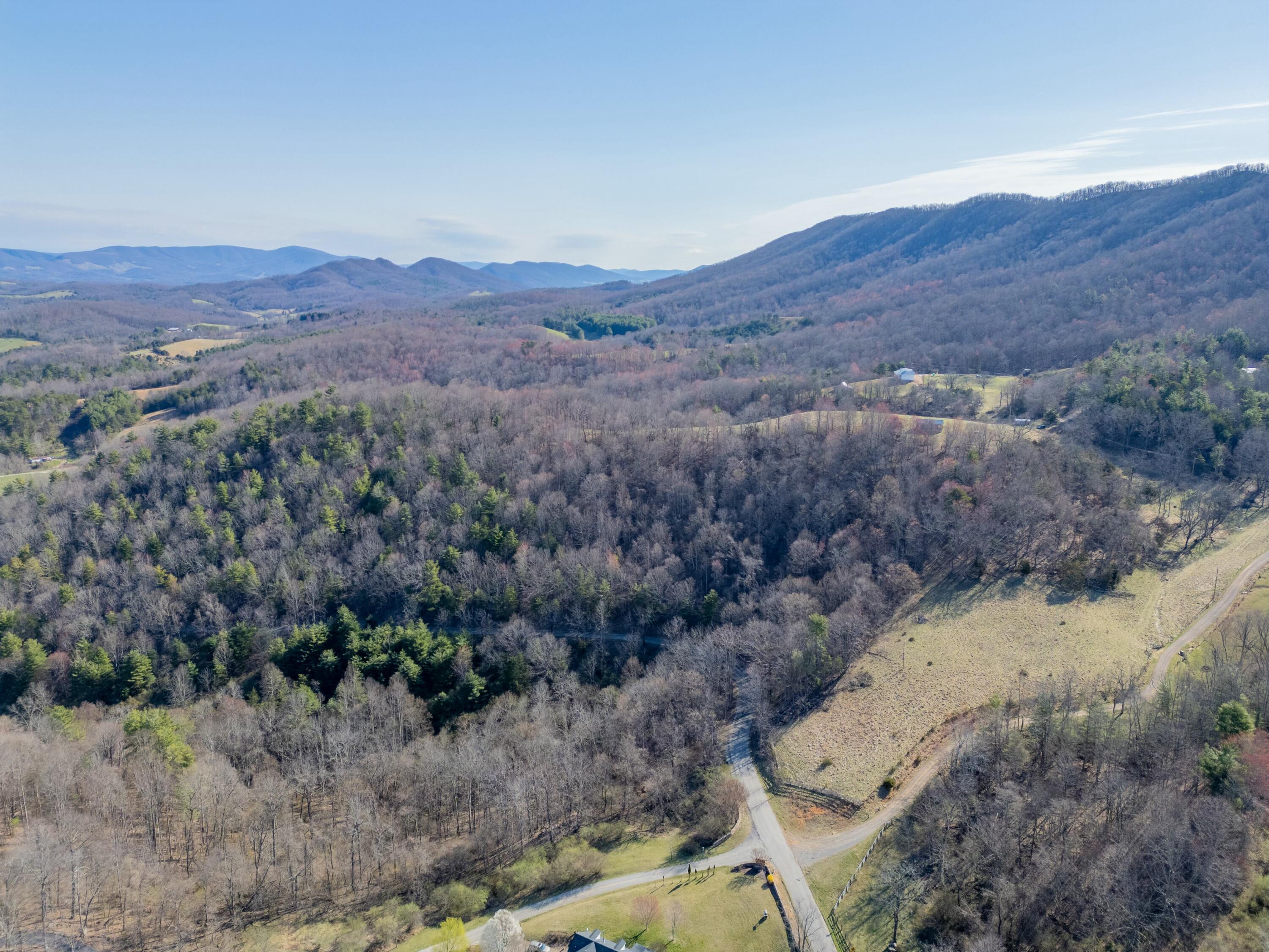 1551 Springdale Rd, Pearisburg, Virginia image 49