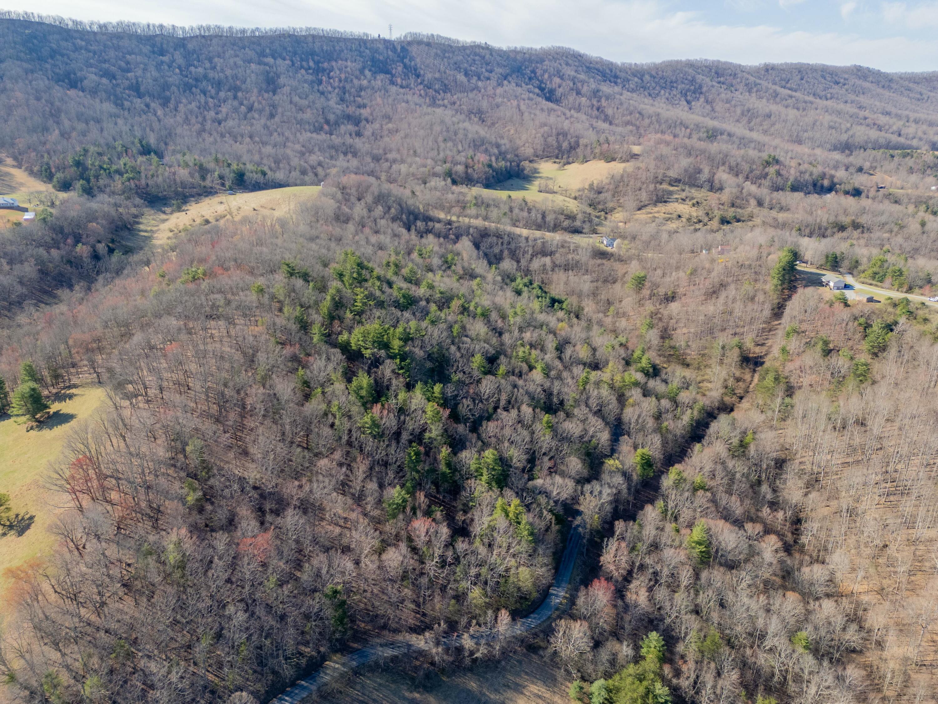 1551 Springdale Rd, Pearisburg, Virginia image 45