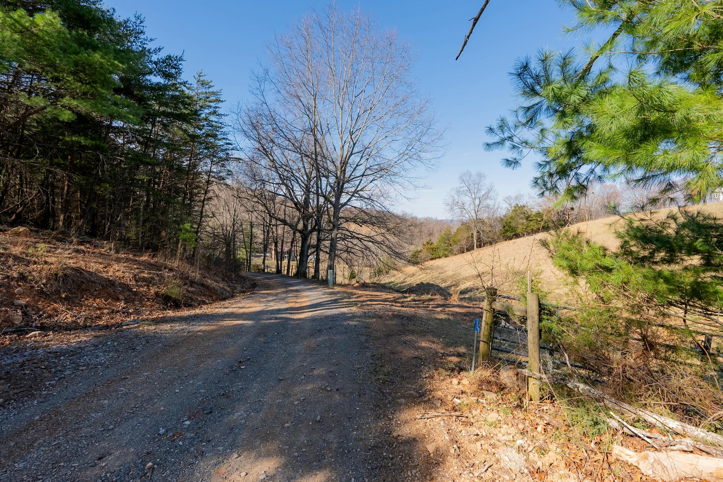 1551 Springdale Rd, Pearisburg, Virginia image 19