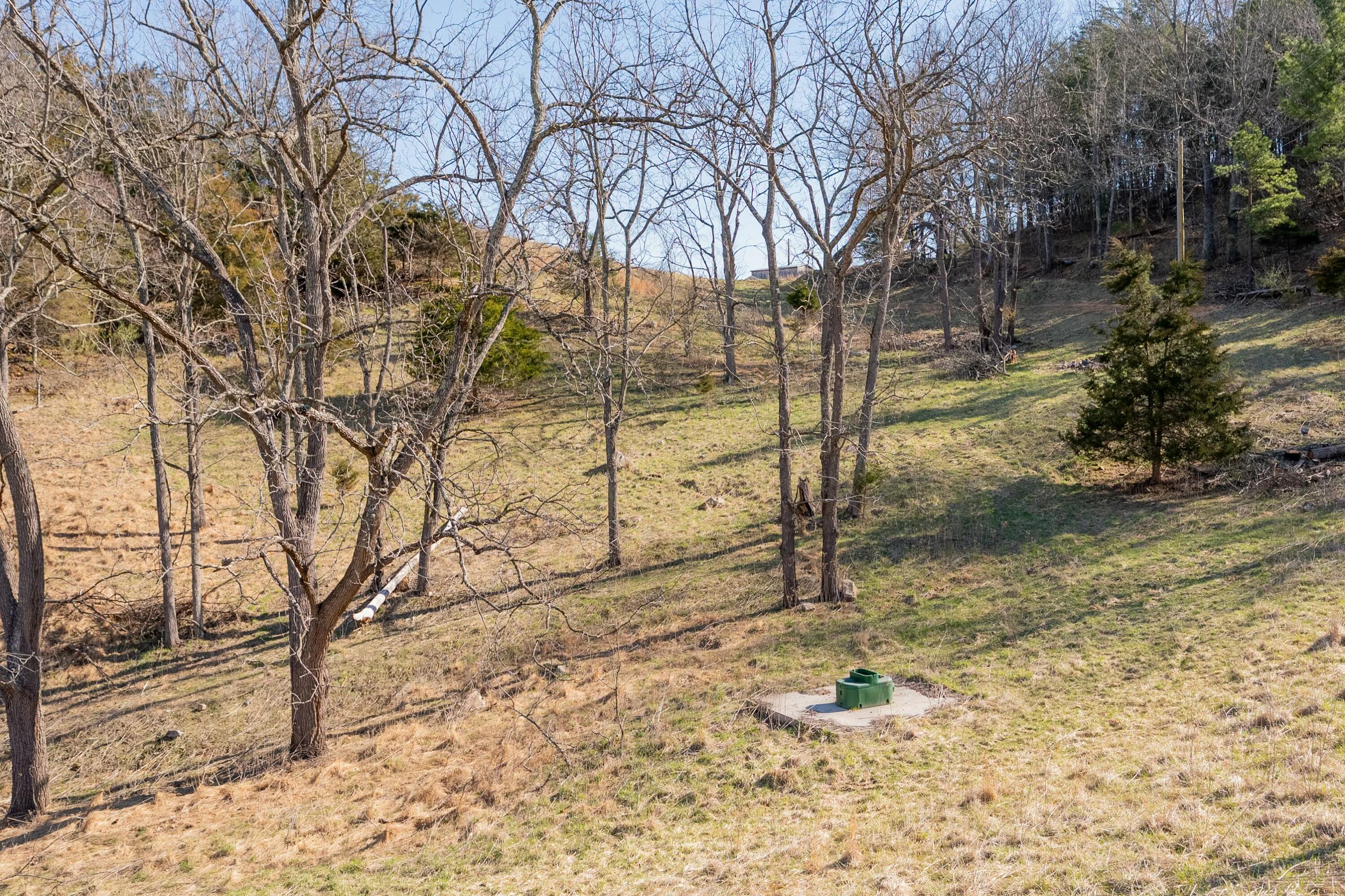 1551 Springdale Rd, Pearisburg, Virginia image 22