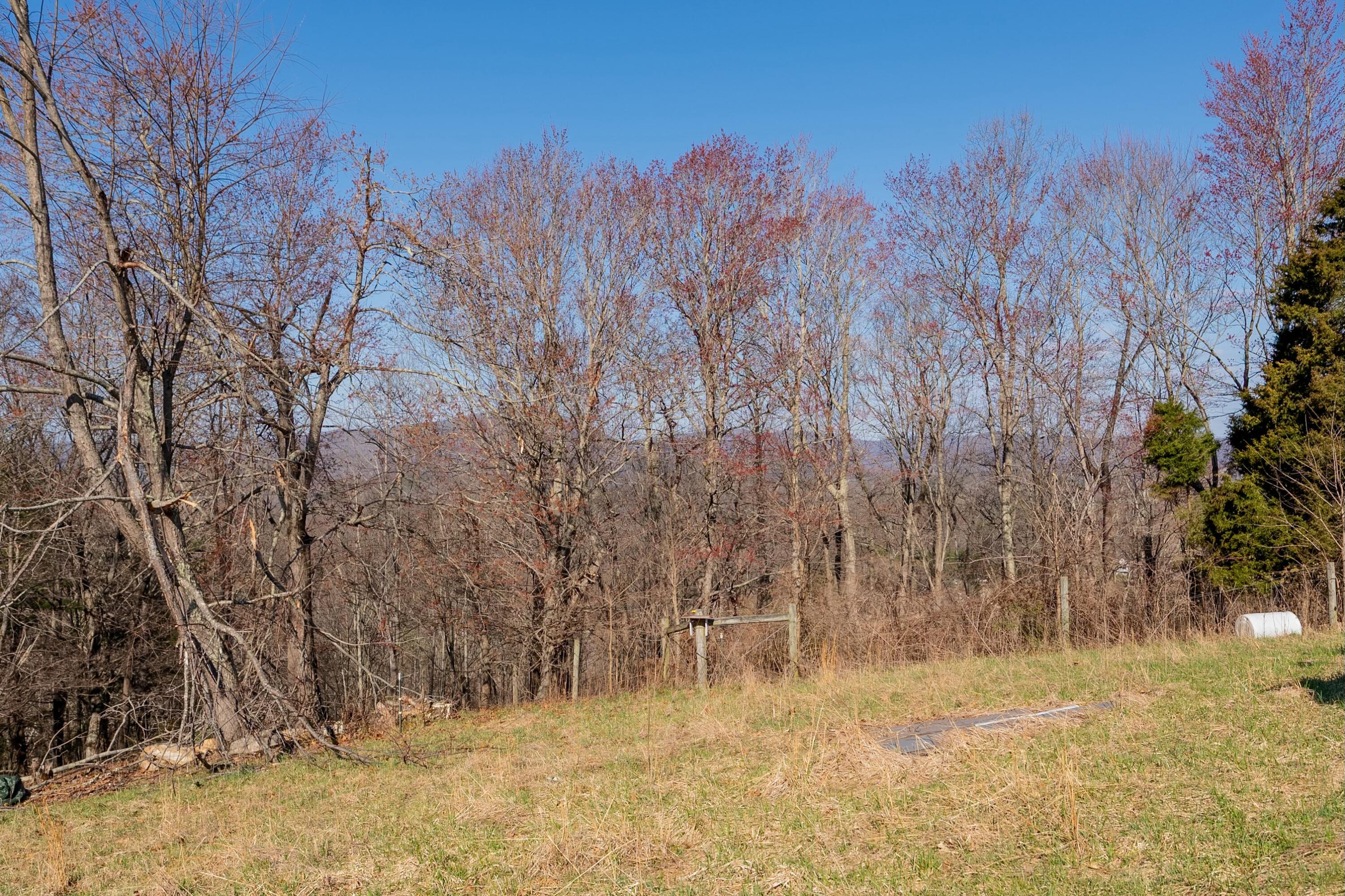 1551 Springdale Rd, Pearisburg, Virginia image 5