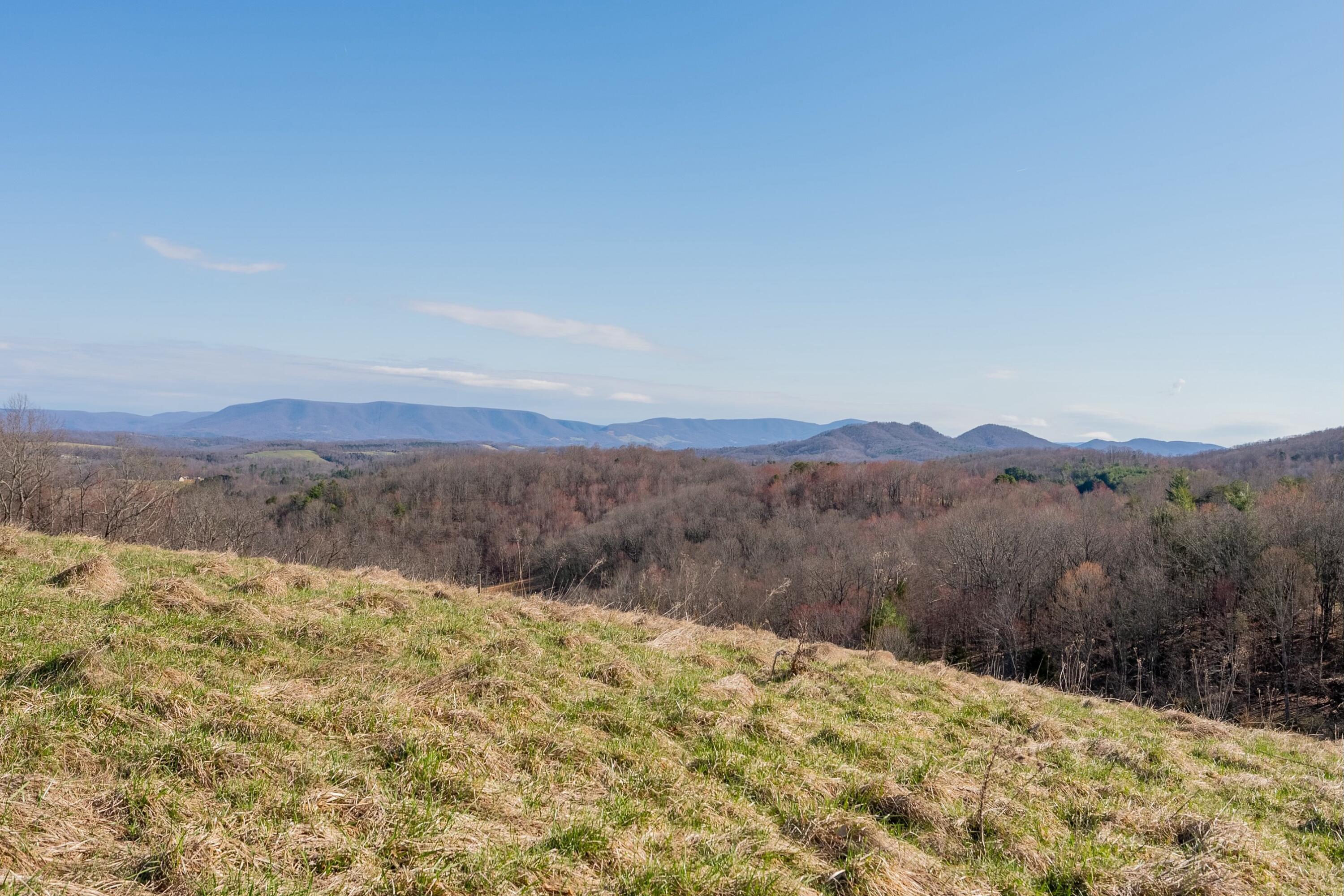 1551 Springdale Rd, Pearisburg, Virginia image 9