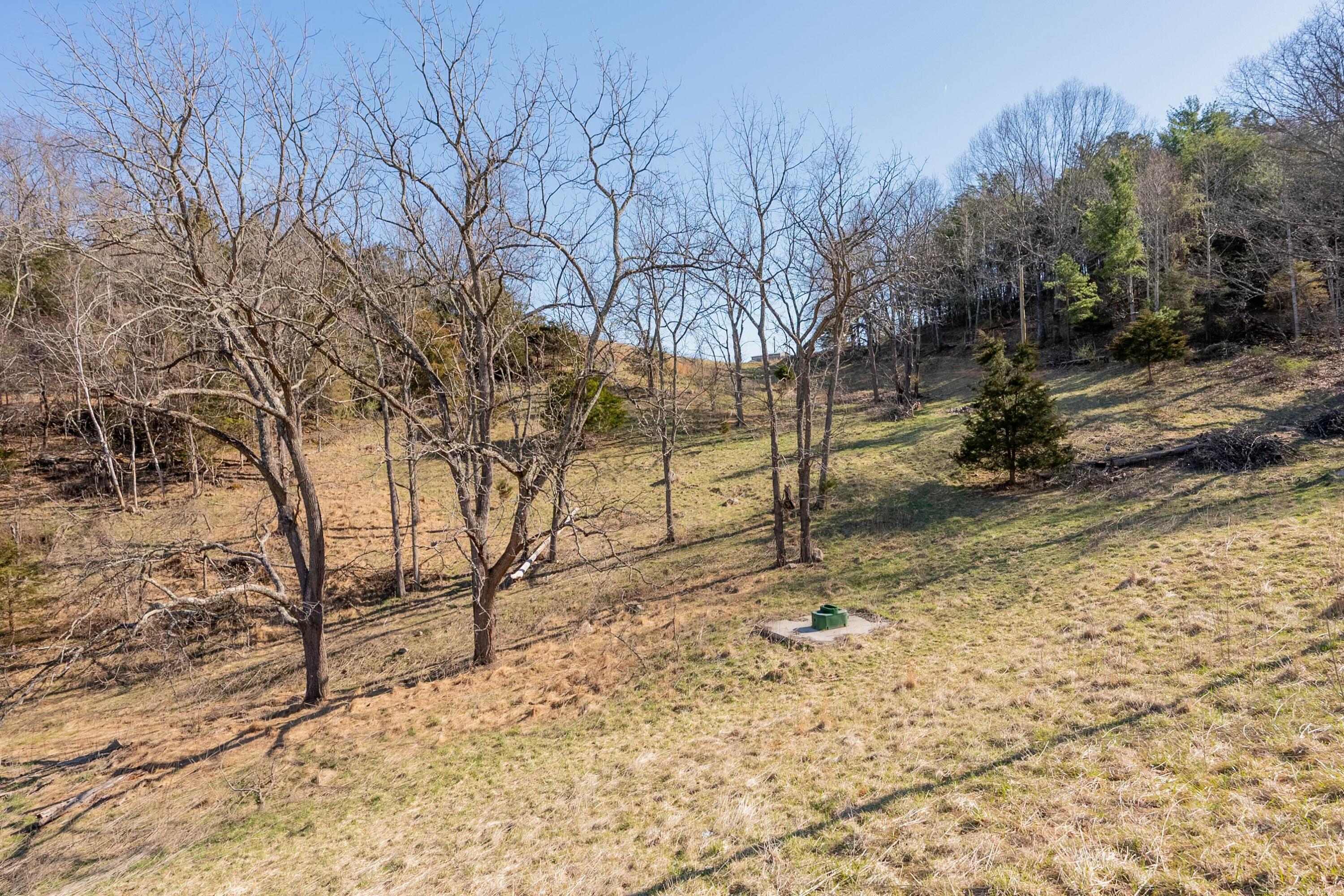 1551 Springdale Rd, Pearisburg, Virginia image 21