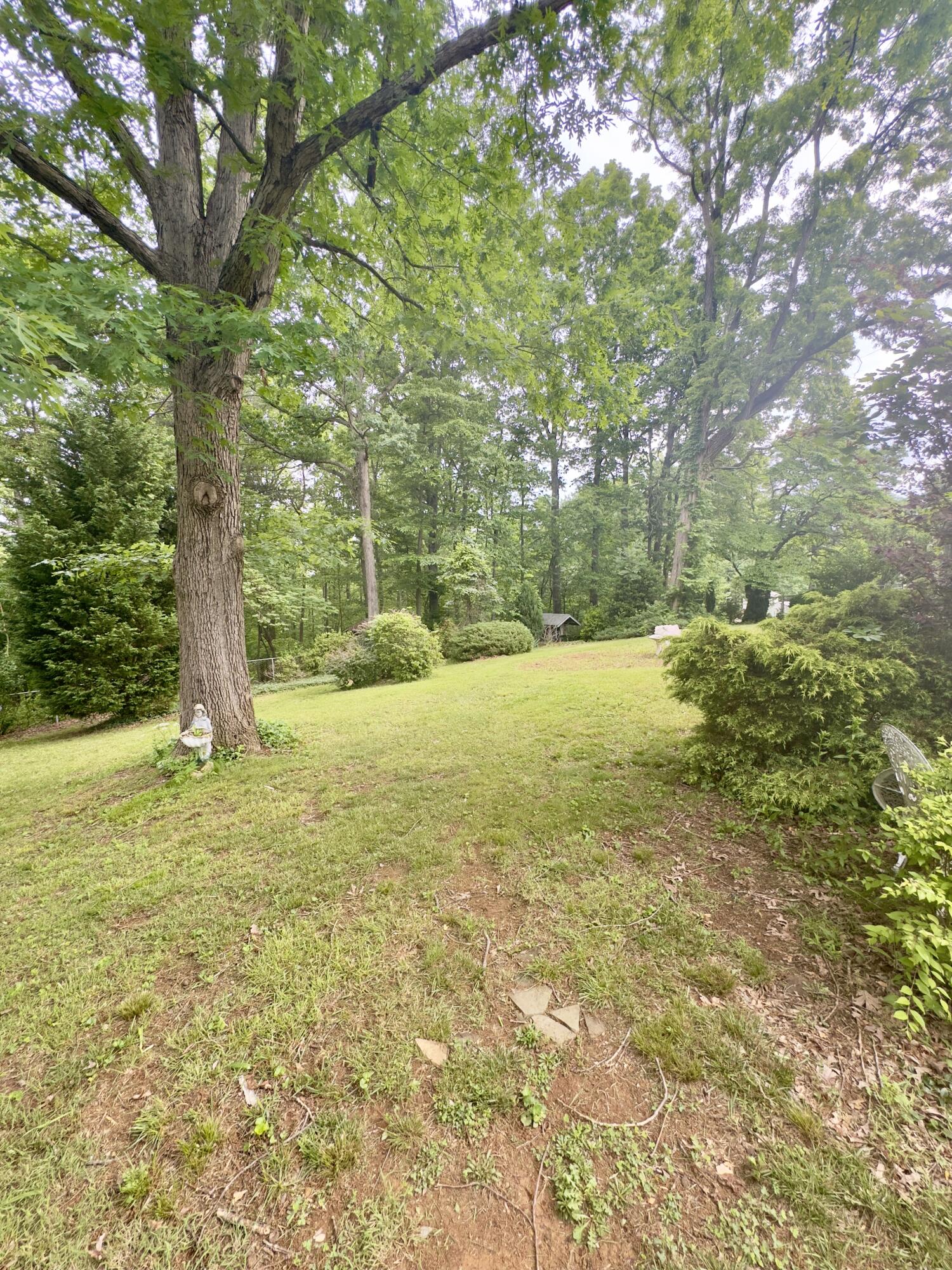 355 Knollwood Dr, Troutville, Virginia image 4