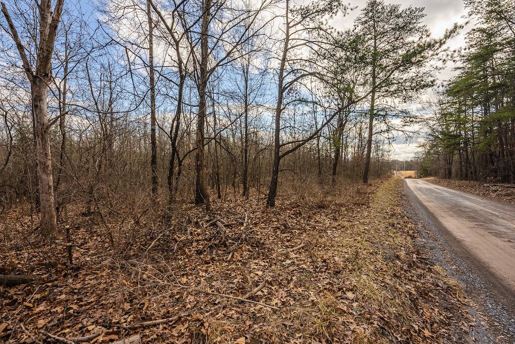 New Hope Rd, Cross Junction, Virginia image 12