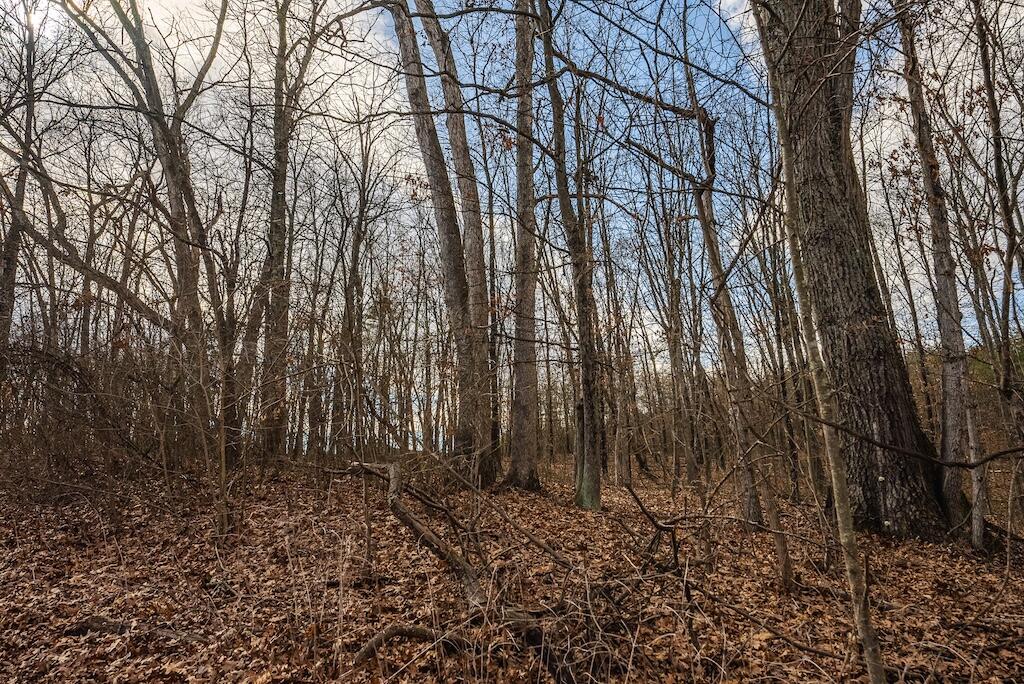 New Hope Rd, Cross Junction, Virginia image 6