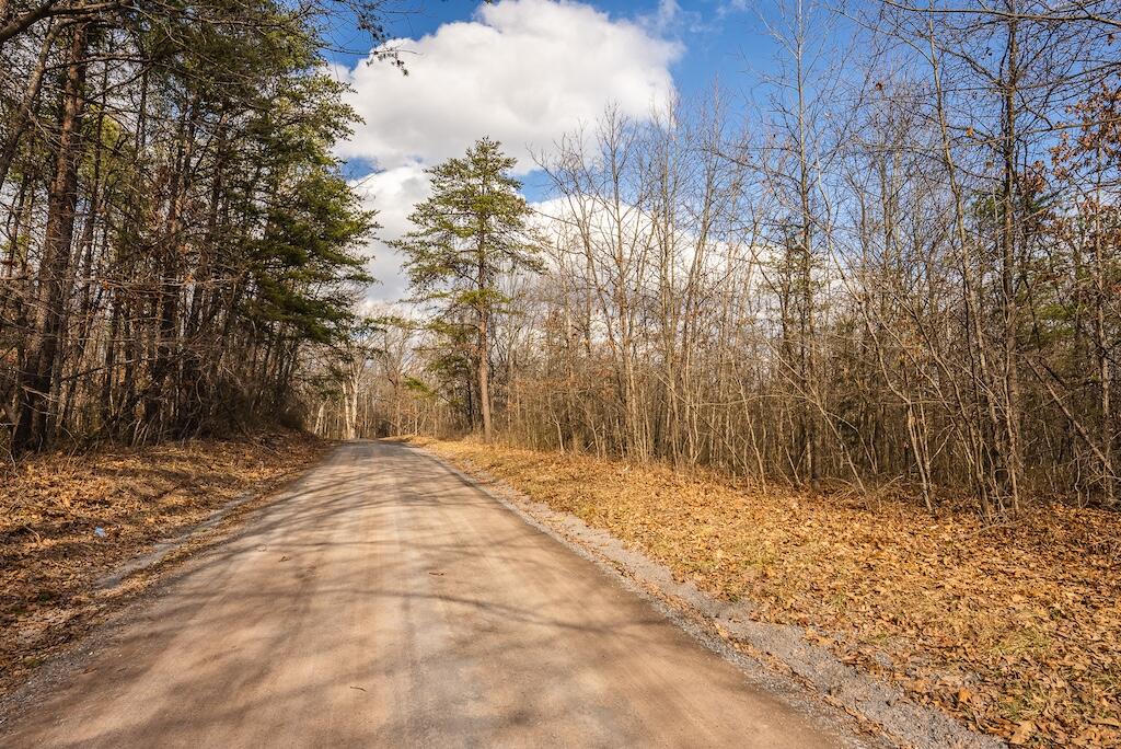 New Hope Rd, Cross Junction, Virginia image 13