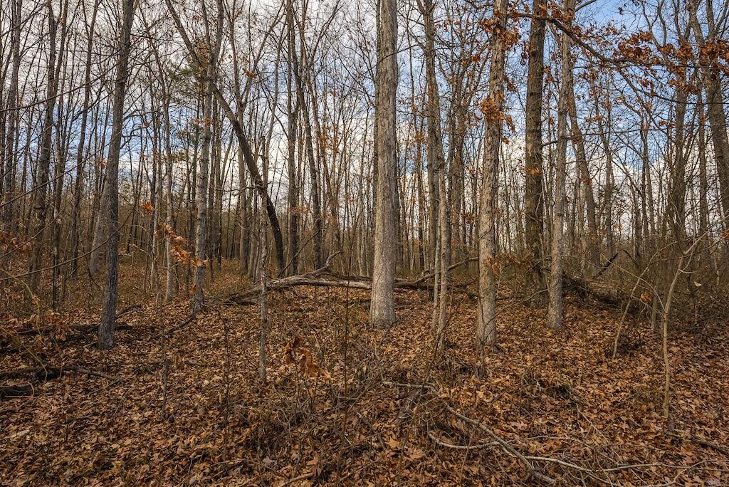 New Hope Rd, Cross Junction, Virginia image 7