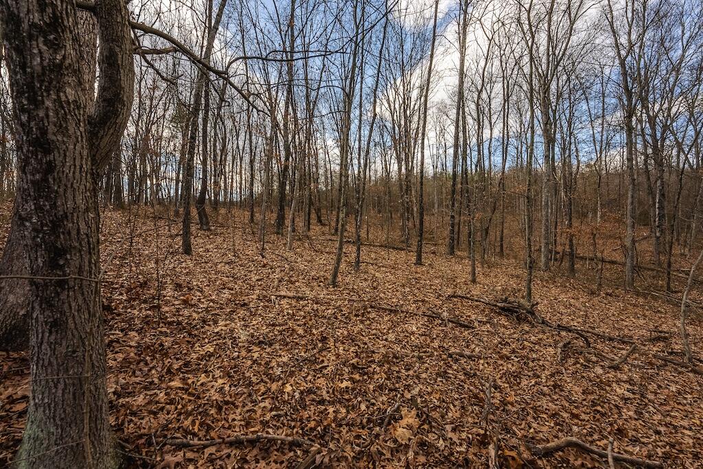 New Hope Rd, Cross Junction, Virginia image 9