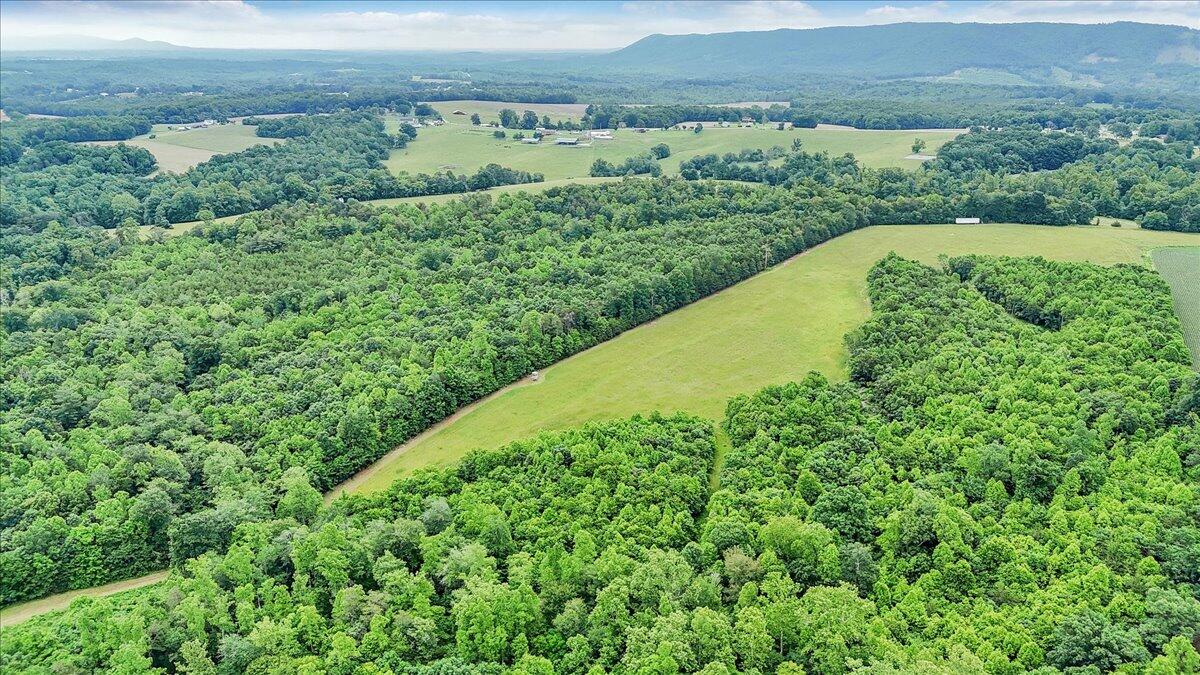 Beulah Rd, Rocky Mount, Virginia image 13