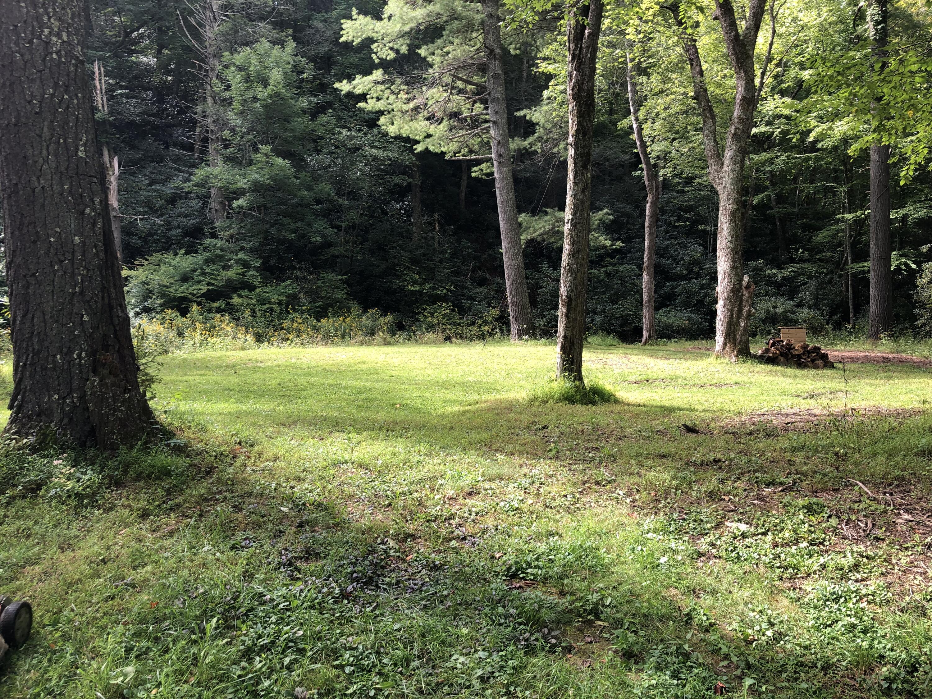 11210 Bottom Creek Rd, Bent Mountain, Virginia image 19