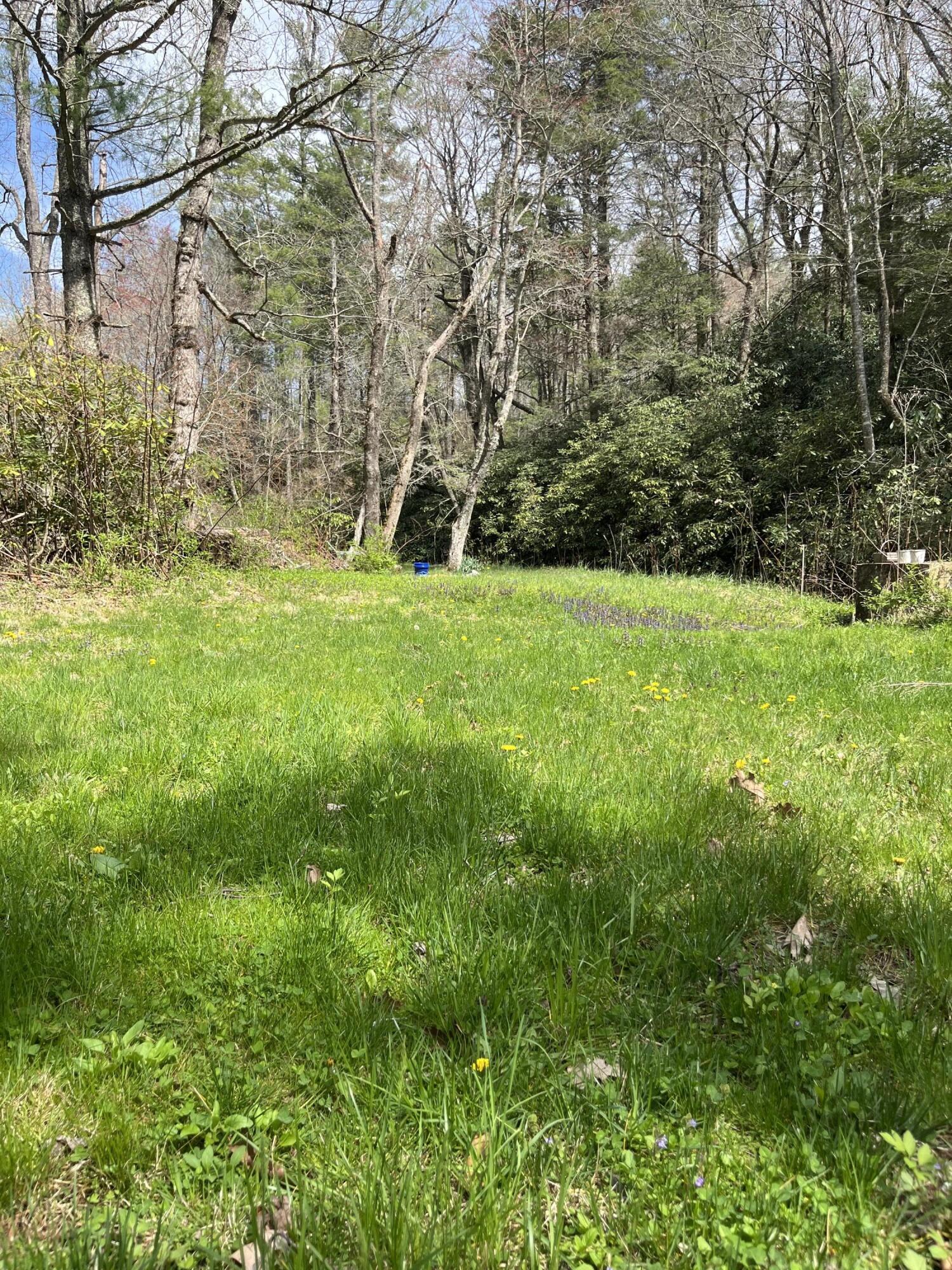 11210 Bottom Creek Rd, Bent Mountain, Virginia image 6
