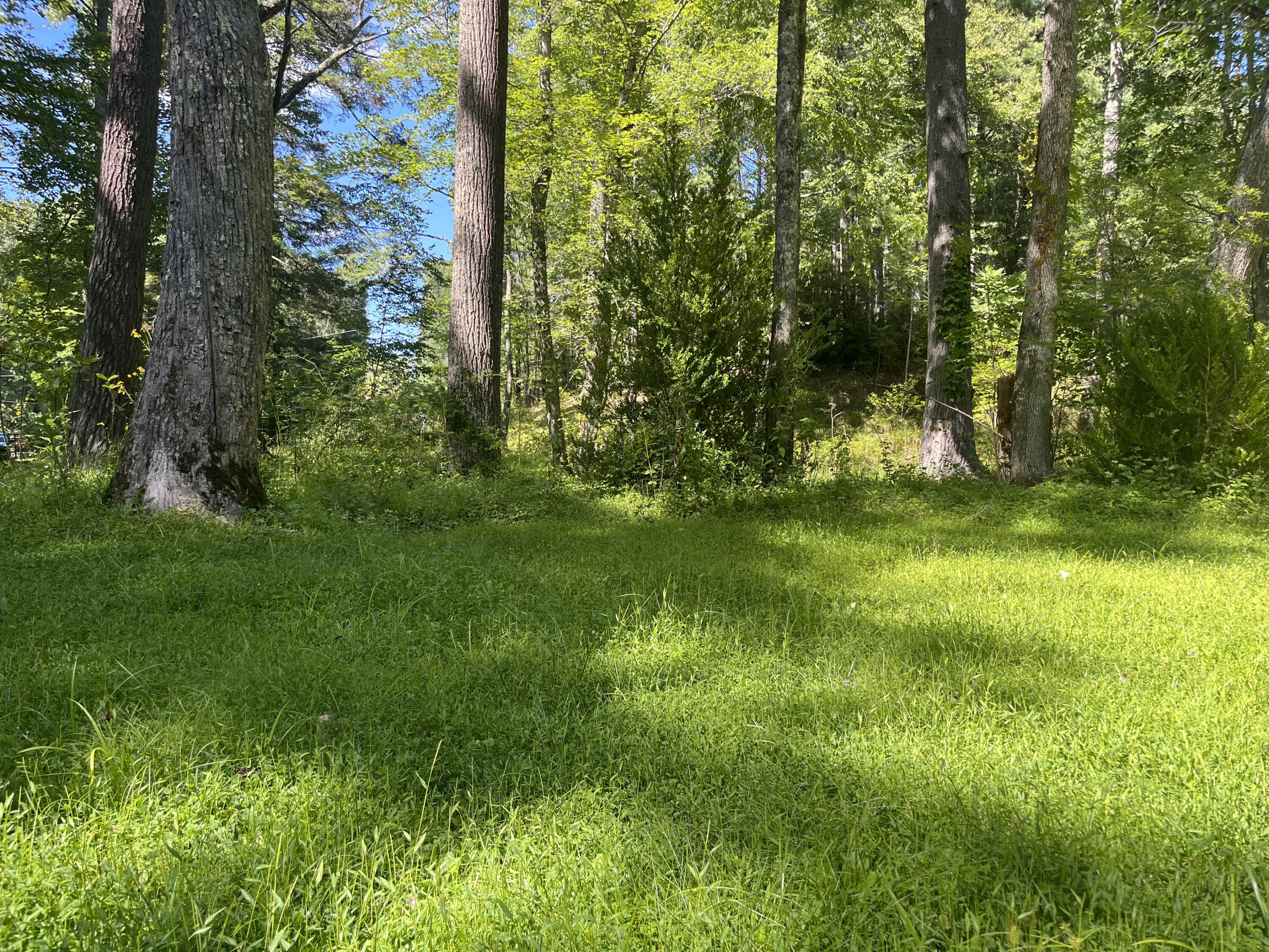 11210 Bottom Creek Rd, Bent Mountain, Virginia image 10