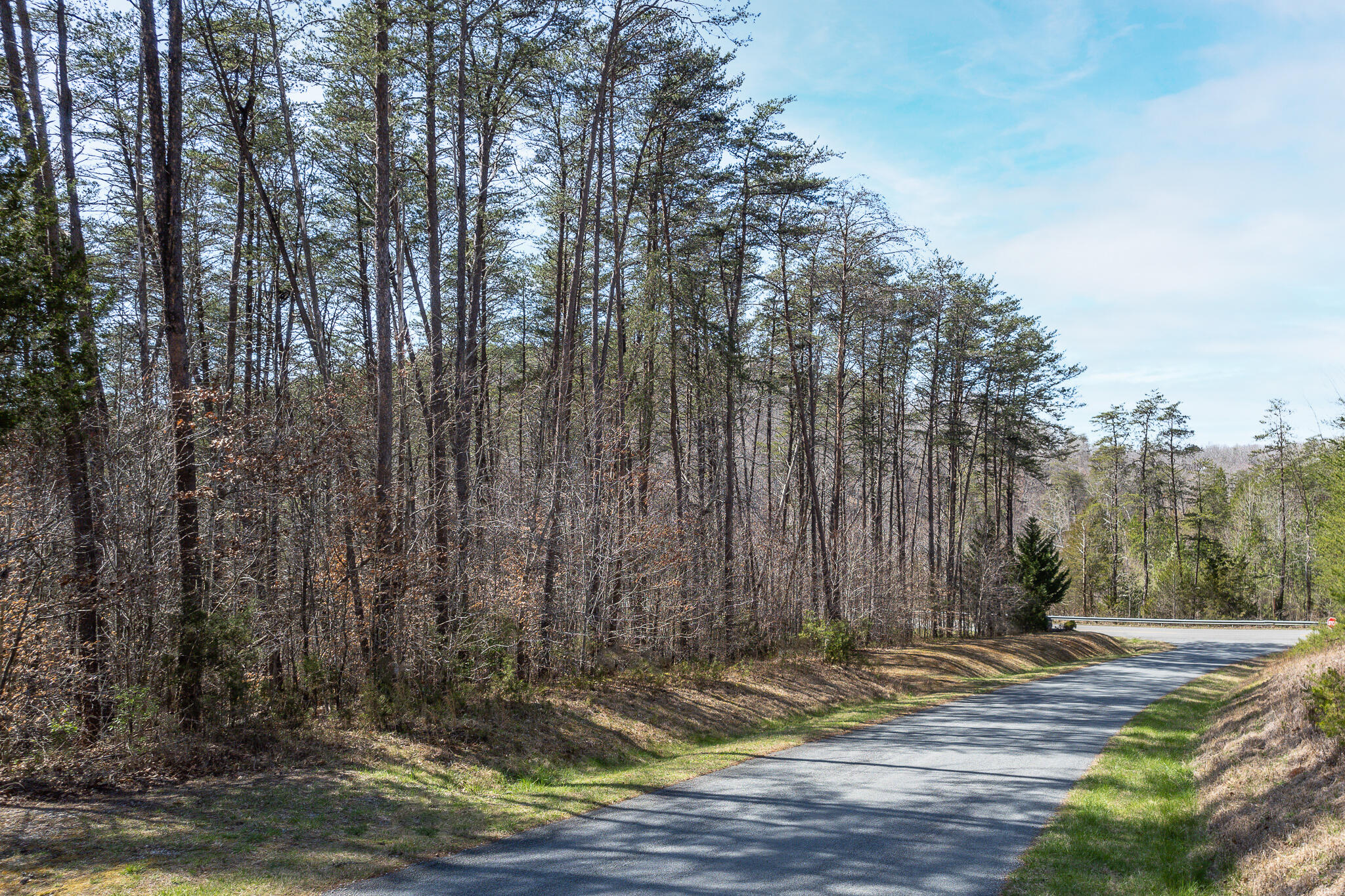 Lot 2 Inlet Dr, Wirtz, Virginia image 3