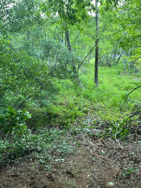Vacant Land For Sale - LOT 77 North Church Dr<br/> Hardy, VA 24101