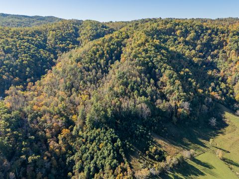 Vacant Land For Sale - TBD Lick Ridge Road<br/> Check, VA 24072