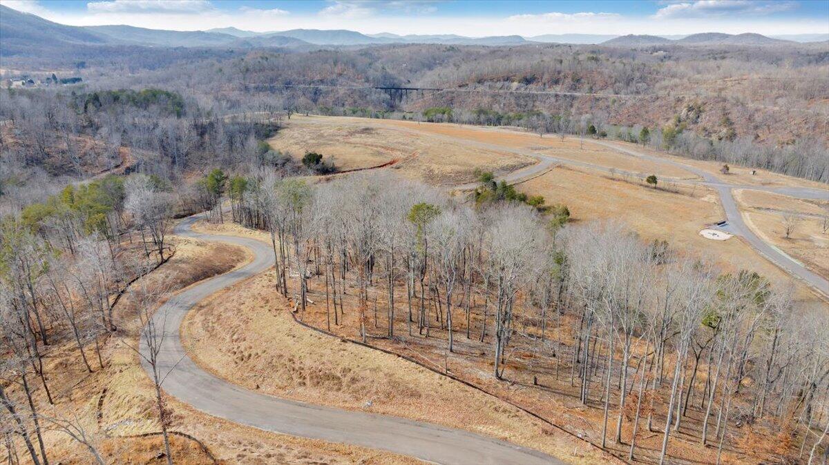 Lot 41 Pearl Dr, Hardy, Virginia image 12