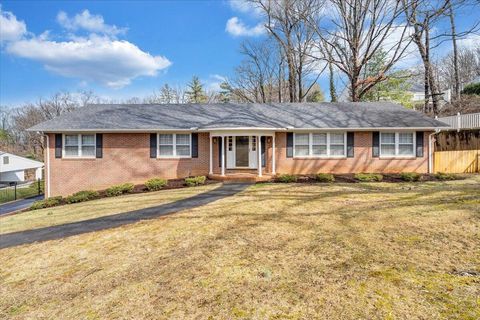 Photo of 501 Darwin RD SW, Roanoke, VA 24014 (MLS # 924947)
