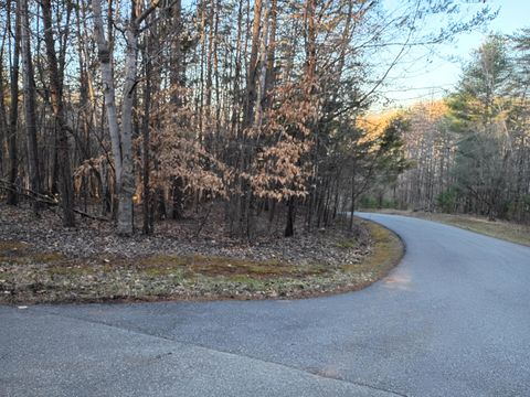 Vacant Land For Sale - 60 Old Barn Rd<br/> Franklin County, Moneta, VA 24121