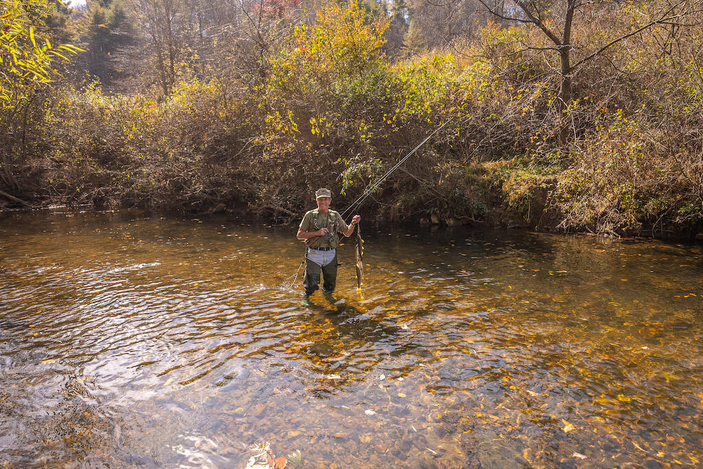 4900 Dugspur Rd, Dugspur, Virginia image 29