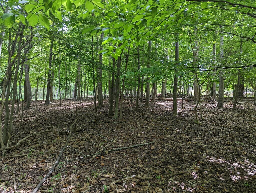 Lot 114 Forest Lawn Dr, Moneta, Virginia image 7