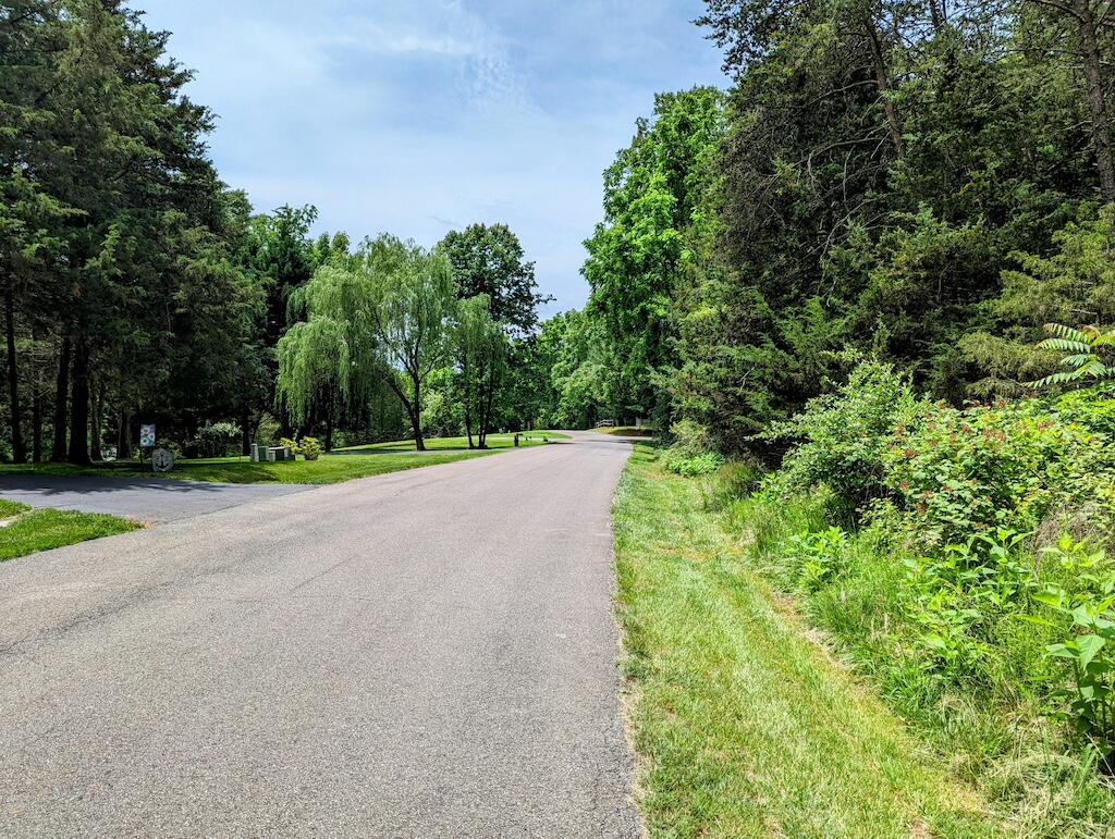 Lot 114 Forest Lawn Dr, Moneta, Virginia image 10