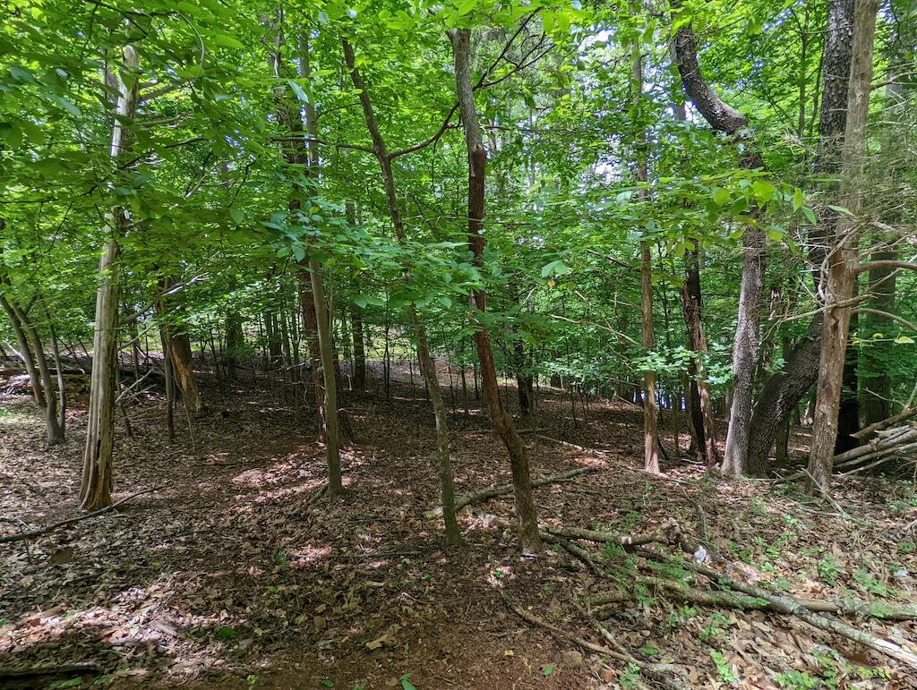 Lot 114 Forest Lawn Dr, Moneta, Virginia image 3