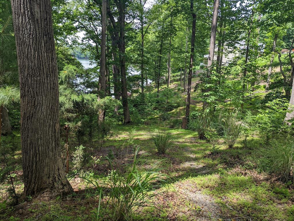 Lot 114 Forest Lawn Dr, Moneta, Virginia image 6