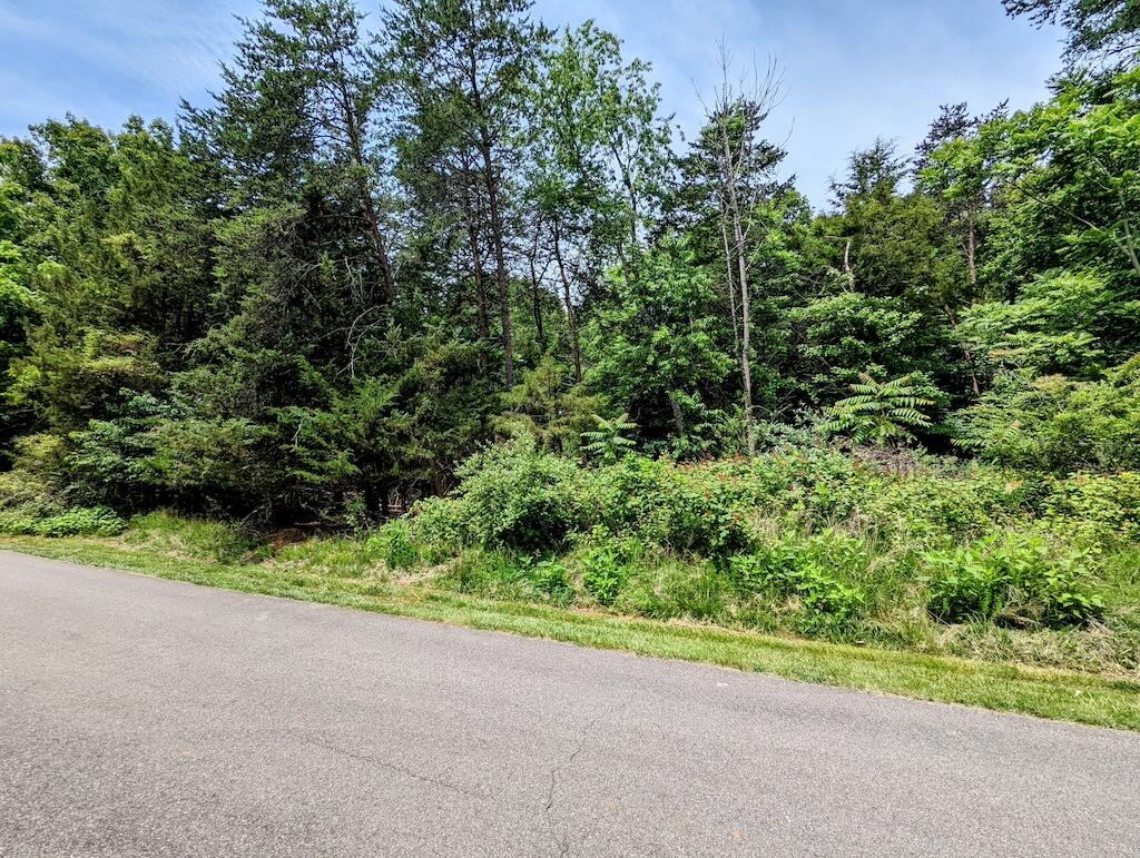 Lot 114 Forest Lawn Dr, Moneta, Virginia image 11