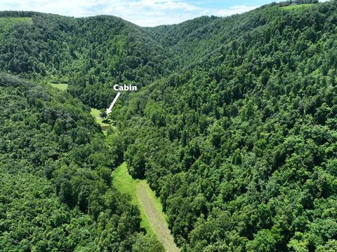 Vacant Land For Sale - Foothills Rd<br/> Callaway, VA 24067