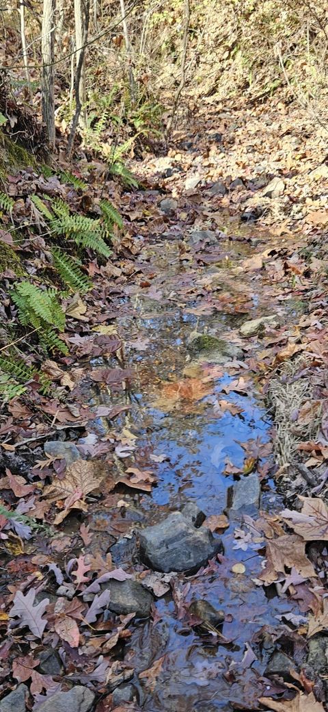 Vacant Land For Sale - Orange Ln<br/> Troutville, VA 24175