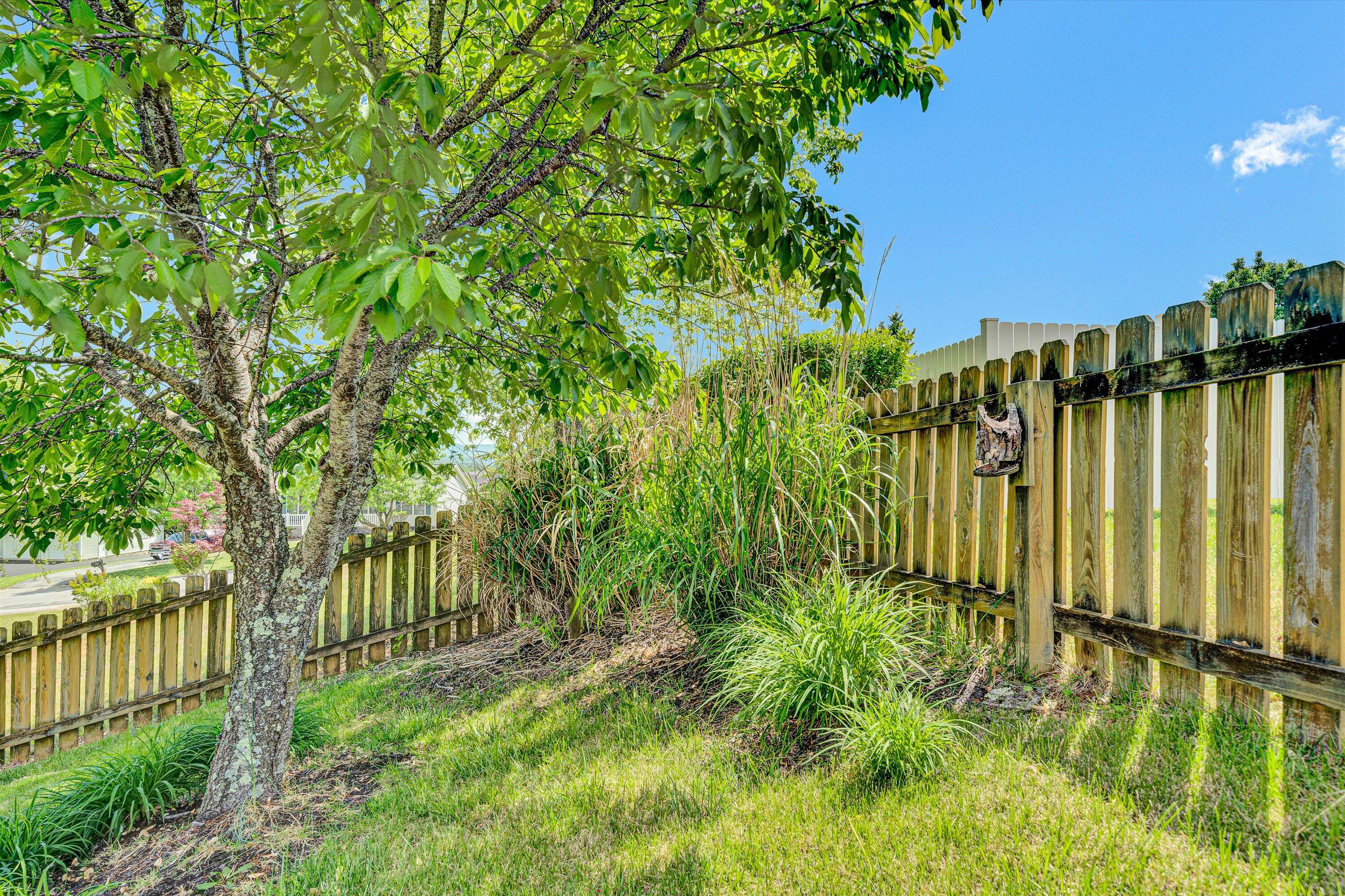 162 Laurel Ridge Dr, Roanoke, Virginia image 29