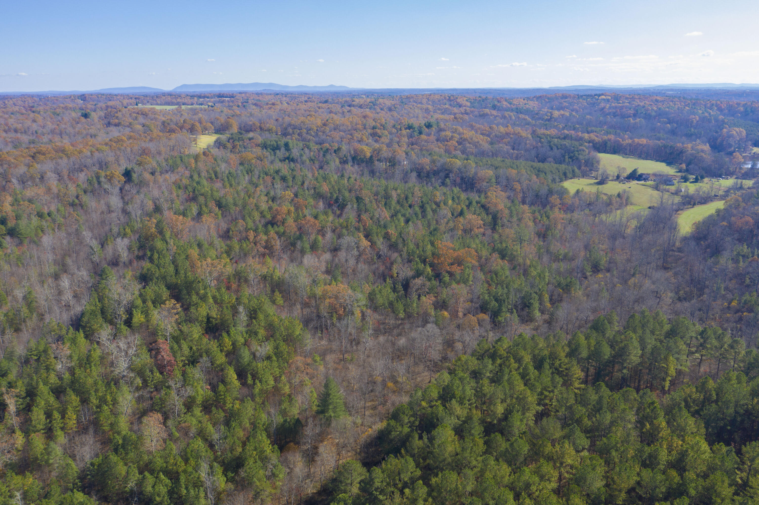 Edwardsville Rd, Hardy, Virginia image 7