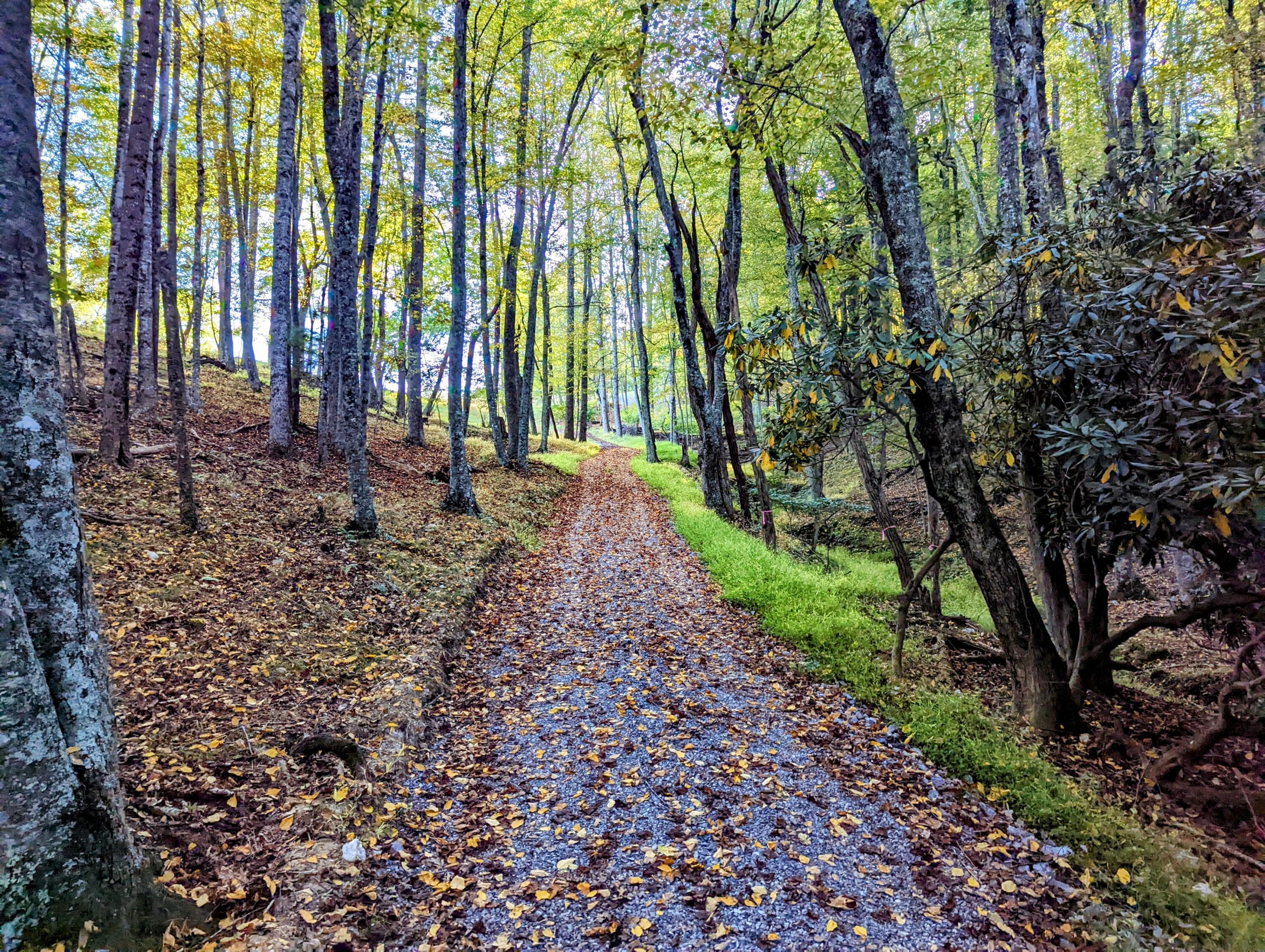 Laurel Creek Rd, Pilot, Virginia image 10