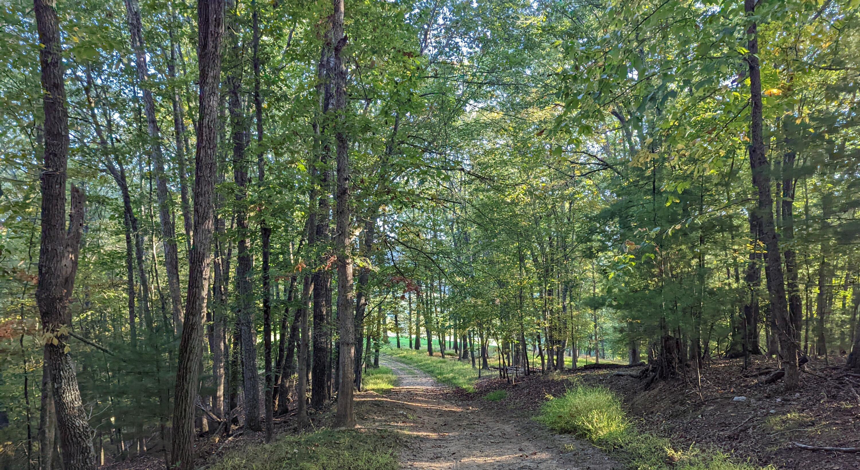 Laurel Creek Rd, Pilot, Virginia image 27