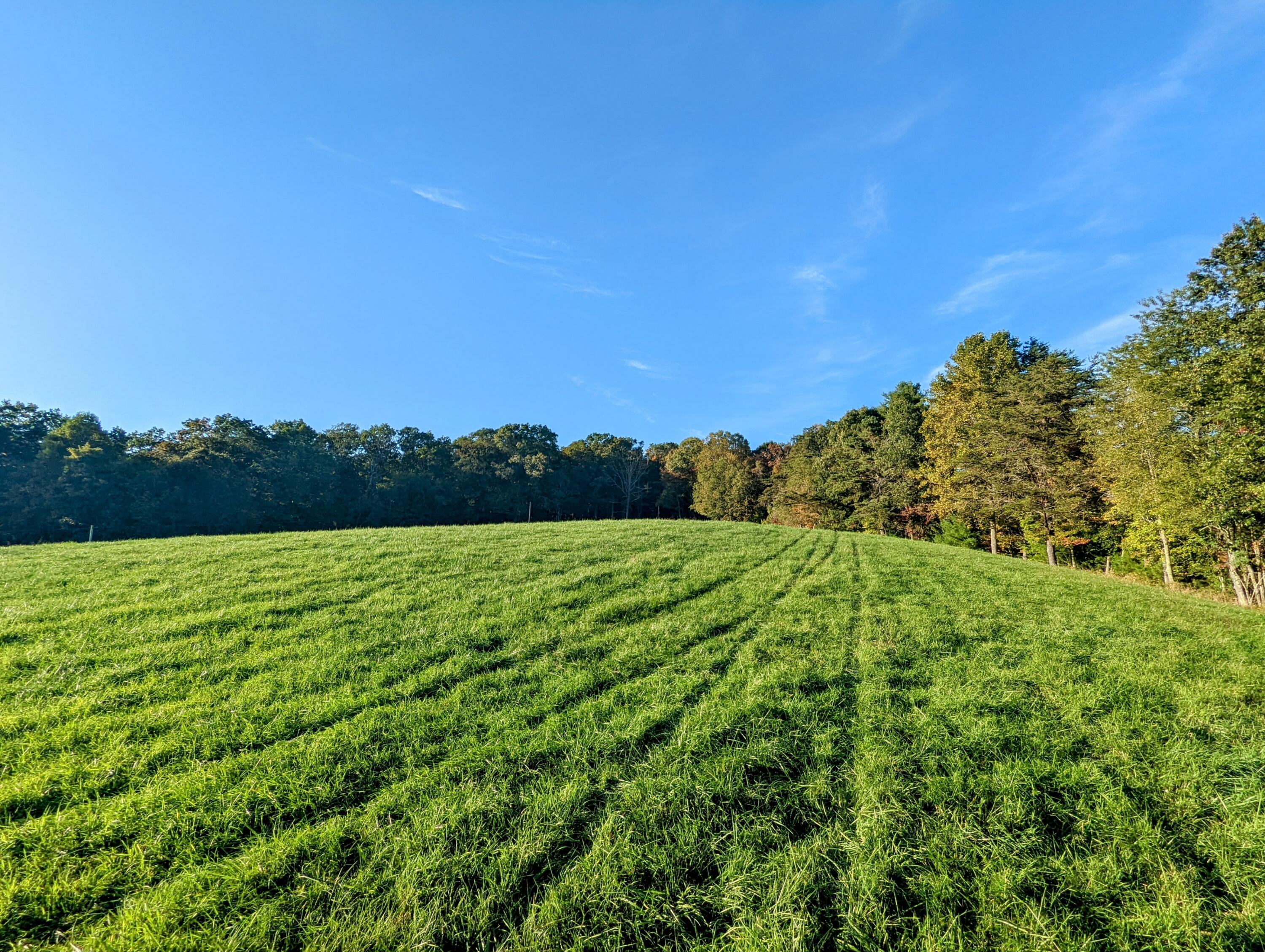 Laurel Creek Rd, Pilot, Virginia image 33