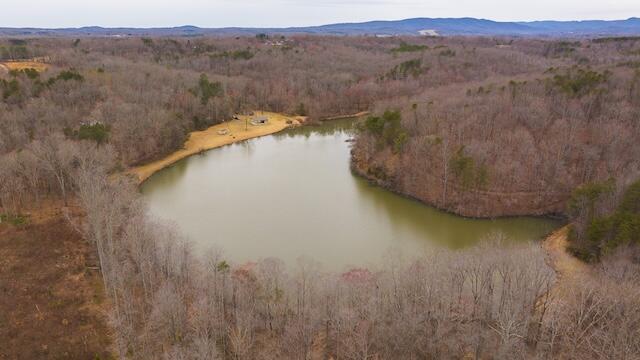 TBD Scenic Dr, Patrick Springs, Virginia image 2
