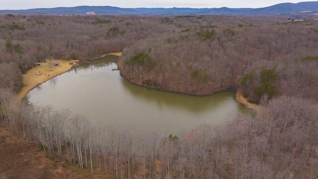 TBD Scenic Dr, Patrick Springs, Virginia image 18
