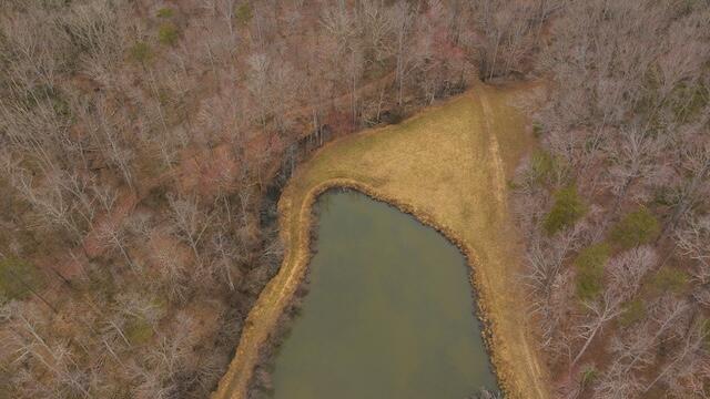 TBD Scenic Dr, Patrick Springs, Virginia image 19