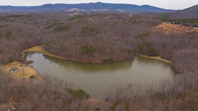 TBD Scenic Dr, Patrick Springs, Virginia image 21