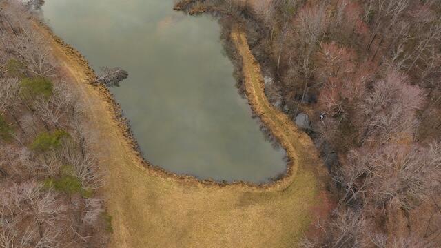 TBD Scenic Dr, Patrick Springs, Virginia image 22
