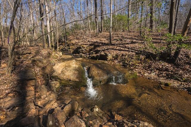 TBD Scenic Dr, Patrick Springs, Virginia image 17