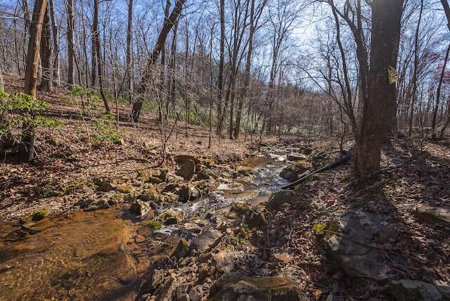 TBD Scenic Dr, Patrick Springs, Virginia image 16
