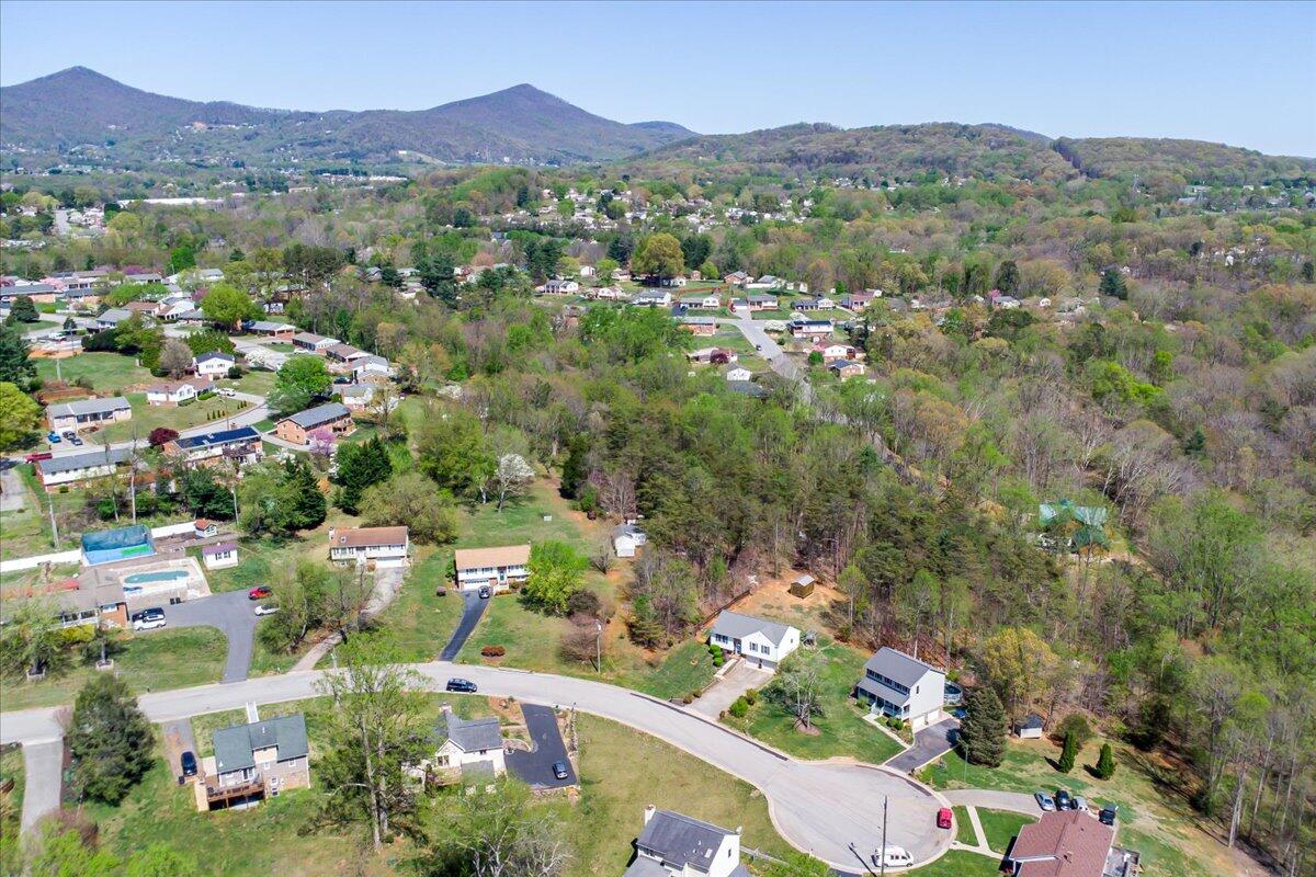 1027 Alison Ln, Vinton, Virginia image 35